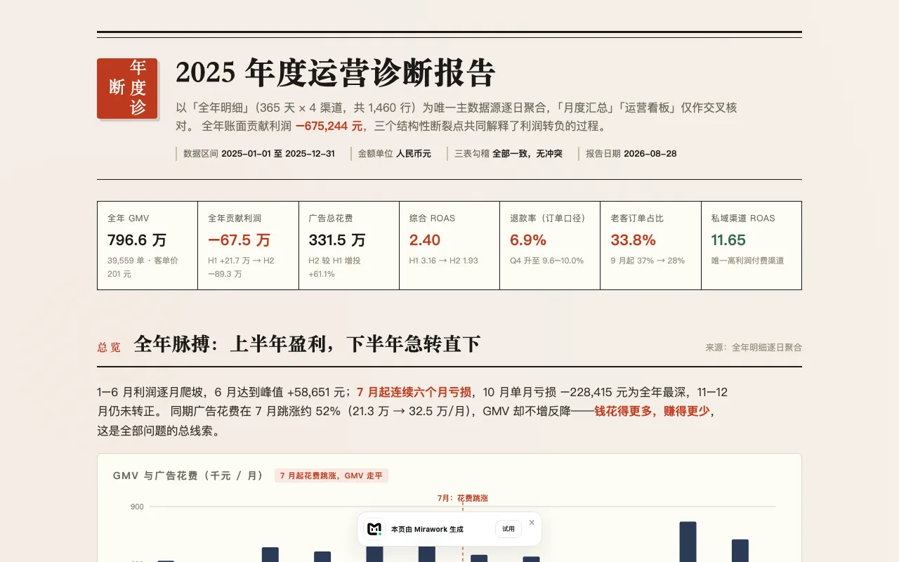 2025 年度运营诊断报告精选预览 1