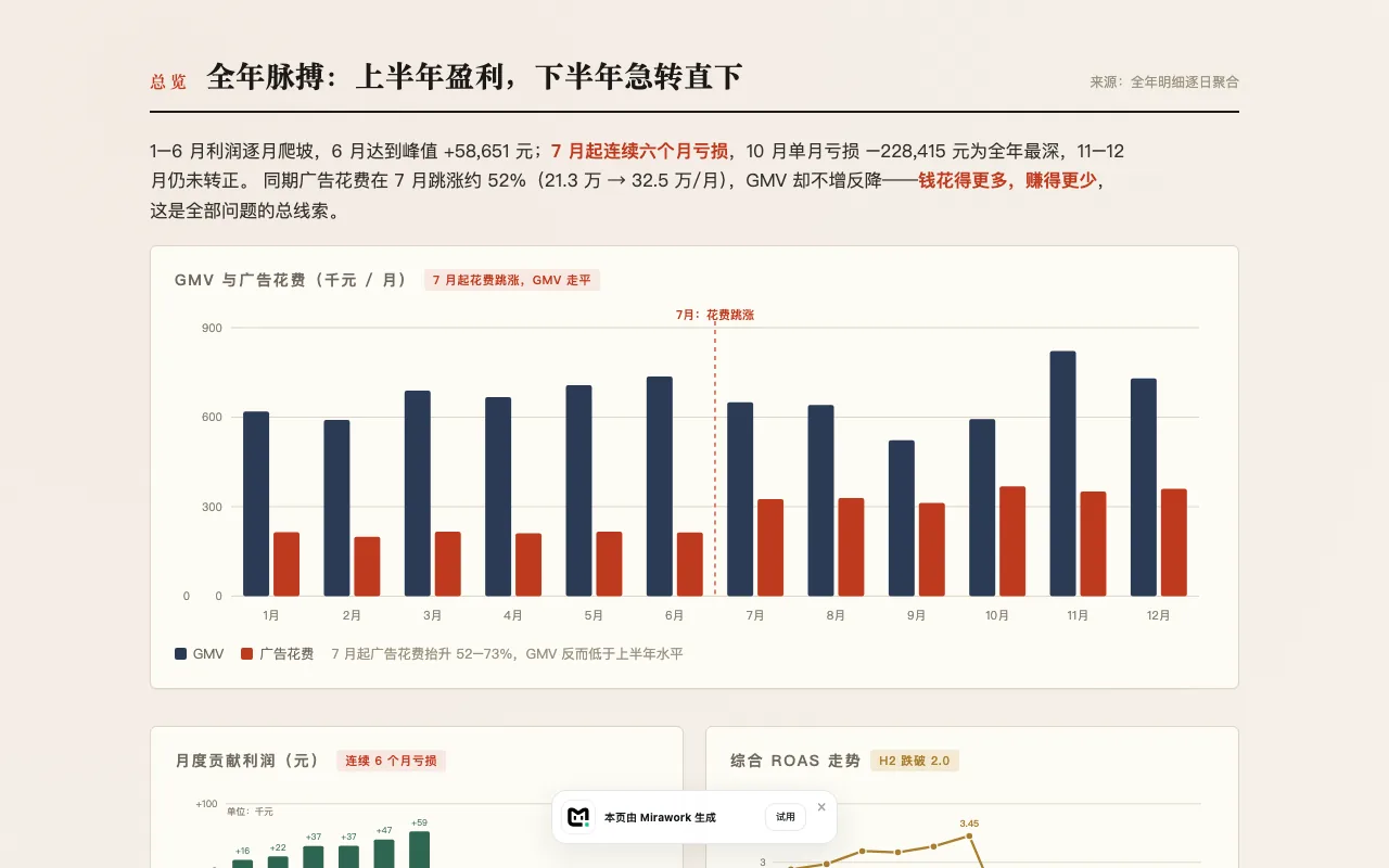 2025 年度运营诊断报告精选预览 2